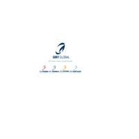 Siry Global Logo