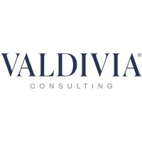 Valdivia Consulting GmbH Logo