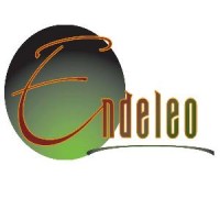 The Endeleo Institute Logo