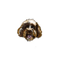 Baxters Boutique Logo