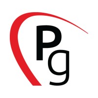 Concessionaria Ponginibbi Group Logo