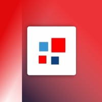 Alexander Nelson Consulting Logo