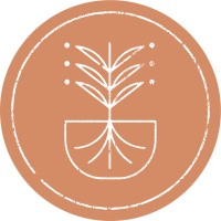Ample + Rooted Logo