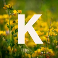 Kendra Stieler Creative Logo