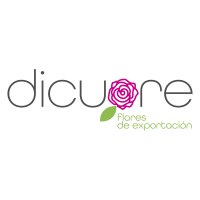 Dicuore Colombia Logo