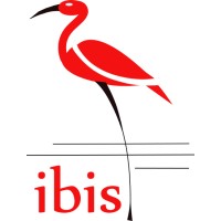 IBIS Internet Consulting Logo