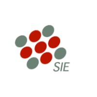 S.I.E. Strumentazione Industriale s.r.l., Logo