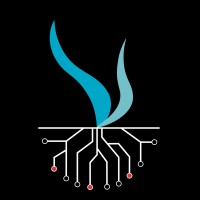 Varpas Concepts Logo