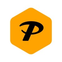 Pro-Active Performance Logo