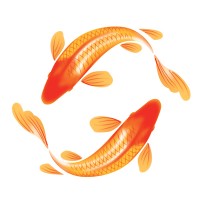 domo domo marketing Logo