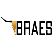 Braes Holdings Logo