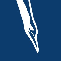 GANNETs Dive - IT diligence Logo