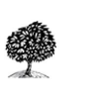 BlackTree Studio Logo