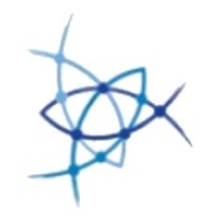 Nonlinear Dynamics Logo