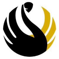 UWA Defence and Security Institute Logo