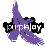 Purple Jay (SDVOSB) Logo