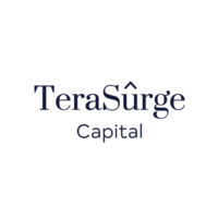 TeraSurge Capital Logo