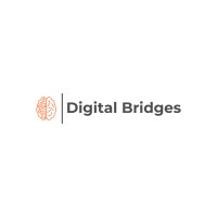 Digital Bridges LLC Logo