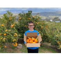 All American Citrus Foundation Logo