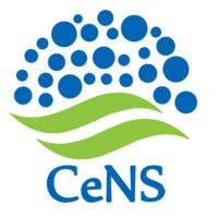Centre for Nano and Soft Matter Sciences - Official Logo