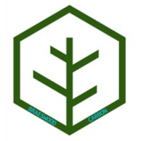 Braeswood Carbon Management Logo