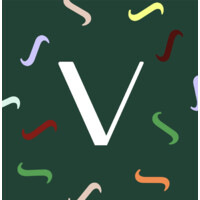 Viledge Logo