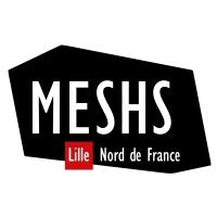 Maison Européenne des Sciences de lHomme et de la Société (MESHS) Logo
