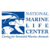 National Marine Life Center Logo