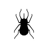 ABOUT: Creative Agency Logo