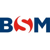 BSM Mexico Logo