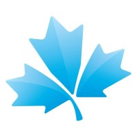 Olomedia Logo