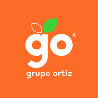 GRUPO ORTIZ MEXICO | Polymers Logo