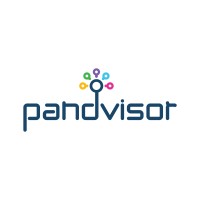 Pandvisor Logo