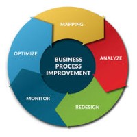 Independent Consultant - Business Process Improvement Logo