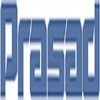 Prasad Electrical Engineering Pvt. Ltd. Logo