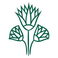 St. Plant Logo