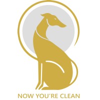 Now Youre clean Logo