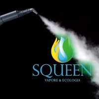 Squeen Vapore Ecologia Logo