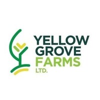 Yellow Grove Farms Logo