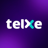 TELXE DO BRASIL Logo