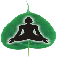 Chakrapani Ayurveda Logo