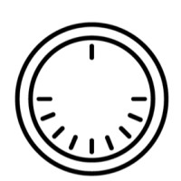 Wise Critical Logo