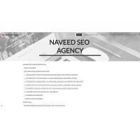 Naveed seo agency Logo