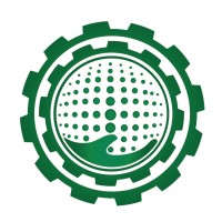 NSM LLC Logo