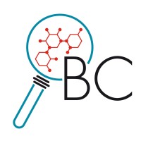 Bright Calcs LLC Logo