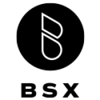 BSX Vapor Logo