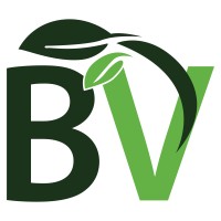 BisVine Logo