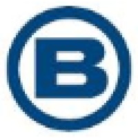 Blue Financial Services Logo
