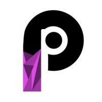 Pek Projects Logo