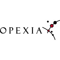 OPEXIA Advisory (former NGR Consulting) Logo